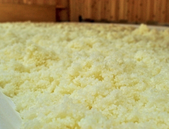 Steamed Rice in Koji Room