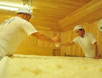 Sprinkling Koji over steamed rice