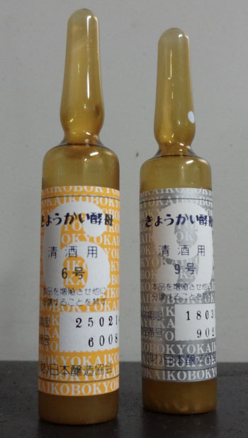 Sake Yeasts in containers - Courtesy of Dewazakura Brewery